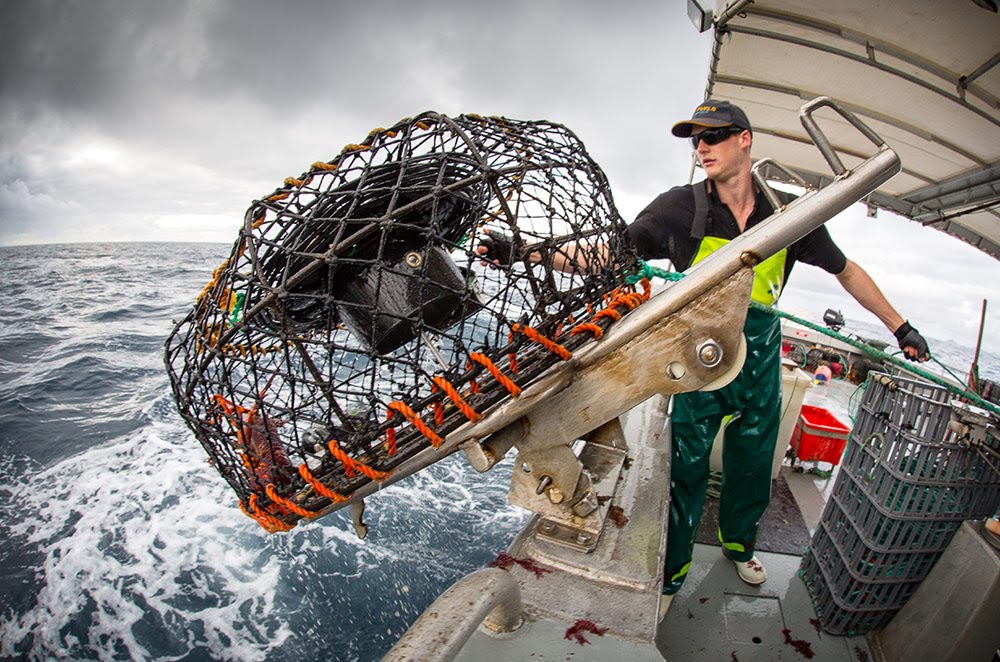 Lobster fishers alerted Two Hands founder Greg McLardie to problems in the industry