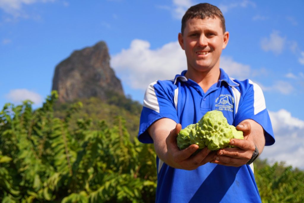 Custard apple grower Daniel Jackson is just one of the growers featured on My Market Kitchen