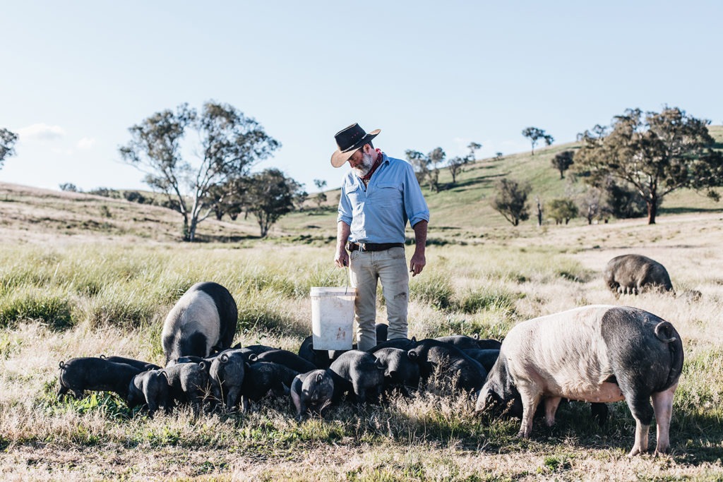 Charlie Arnott has rediscovered the joy of farming by becoming more in tune with the land