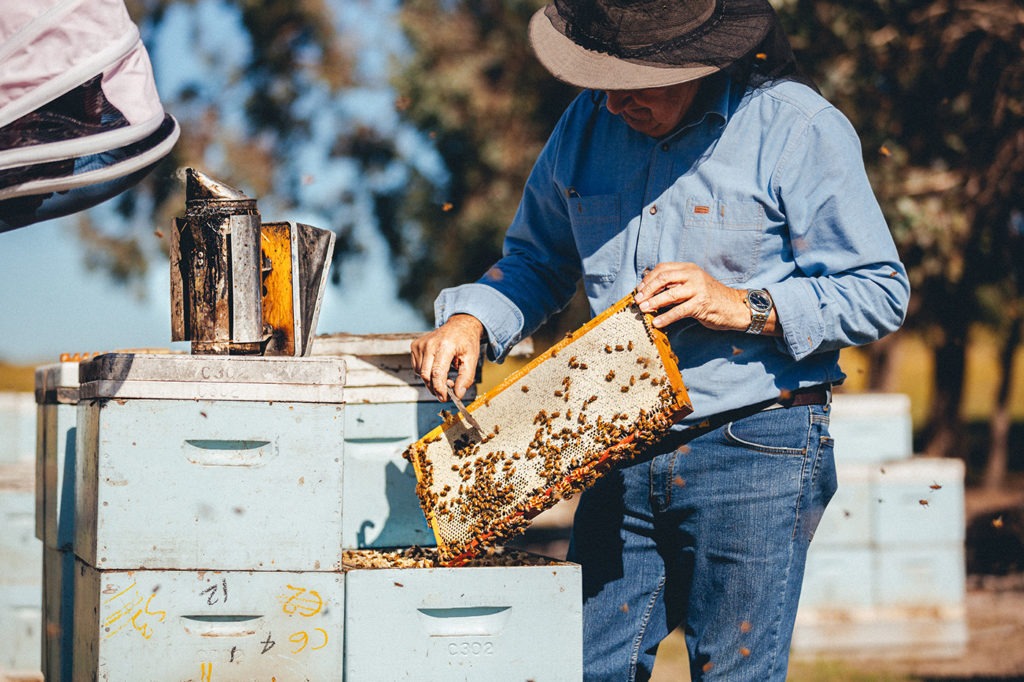 The health of our hives is crucial for all industries dependent on honey bees for pollination