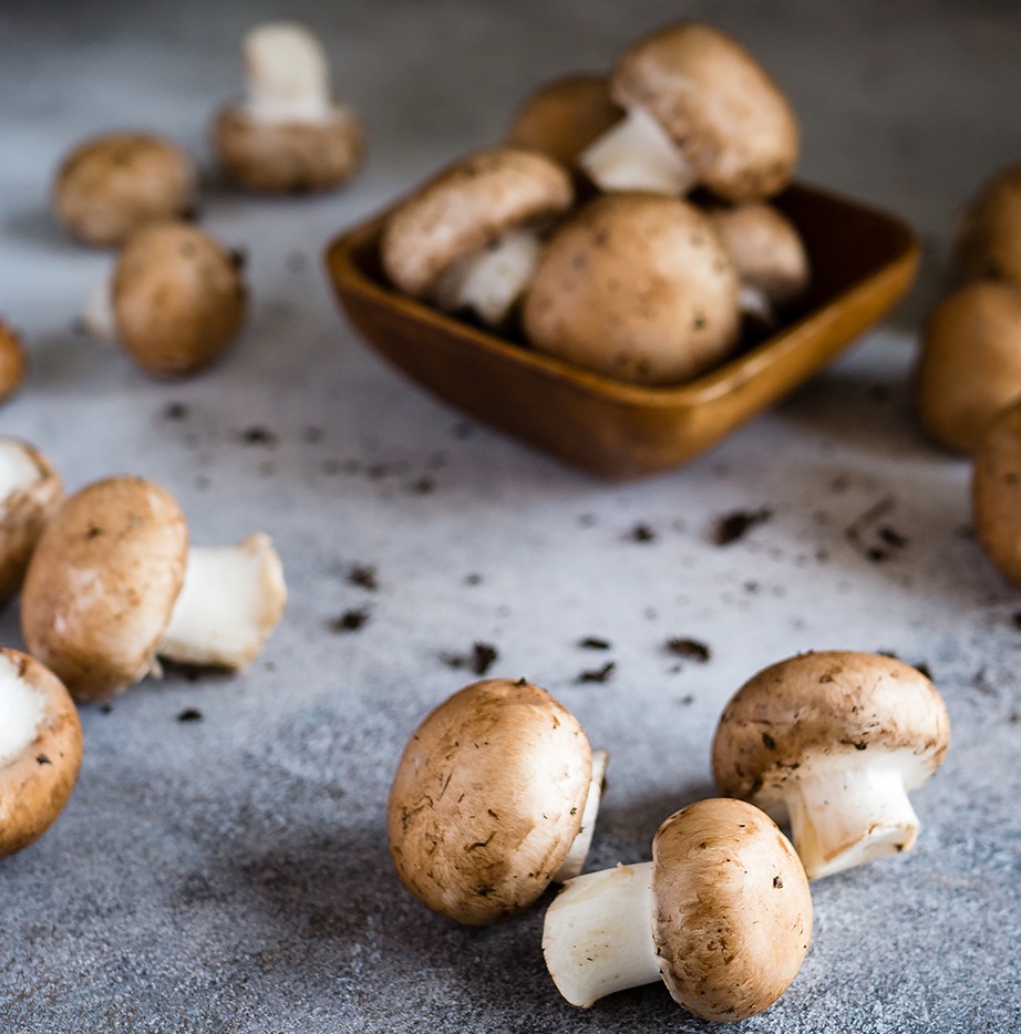 Mushrooms are highly nutritious