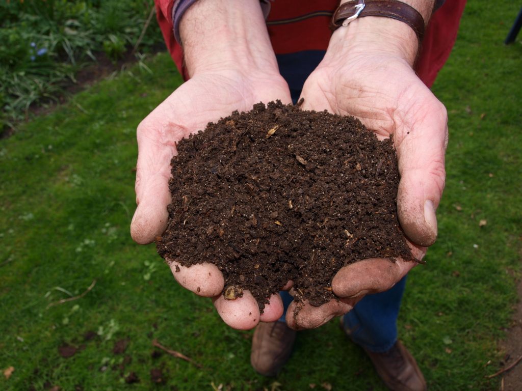composting for healthy soil