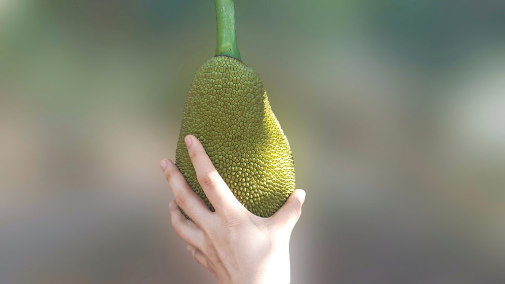 Manbulloo branches out with jackfruit