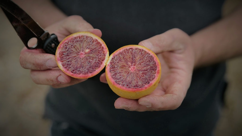 The bright colour in a blood orange indicates a mega-dose of nutrients
