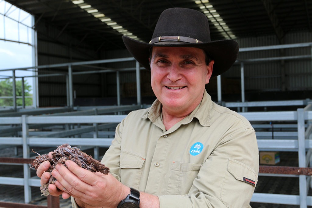 Dr Rob Kinley with FutureFeed at CSIRO’s Lansdown research station in North Queensland