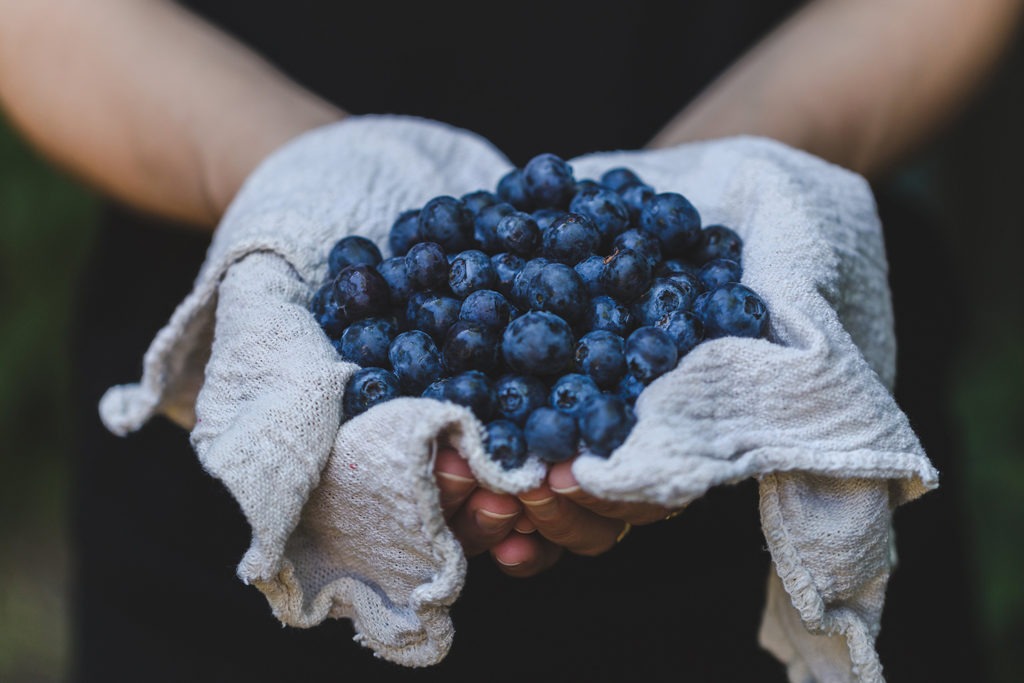 Tasmanian blueberries