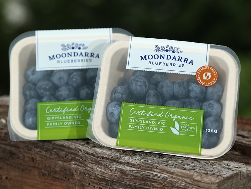 Moondarra blueberries