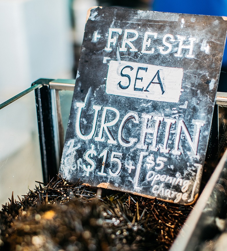 To ensure you're getting top quality, buy urchins from a reputable seafood retailer like Sydney Fish Market