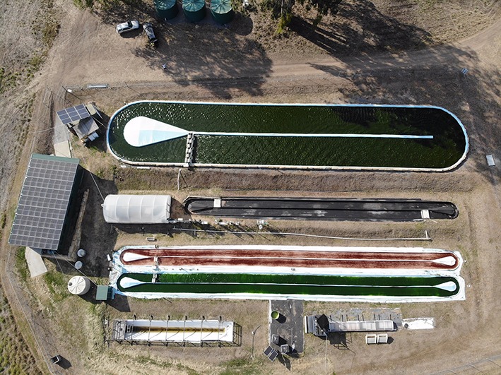 The University of Queensland's algae energy farm in Pinjarra Hills, outside of Brisbane