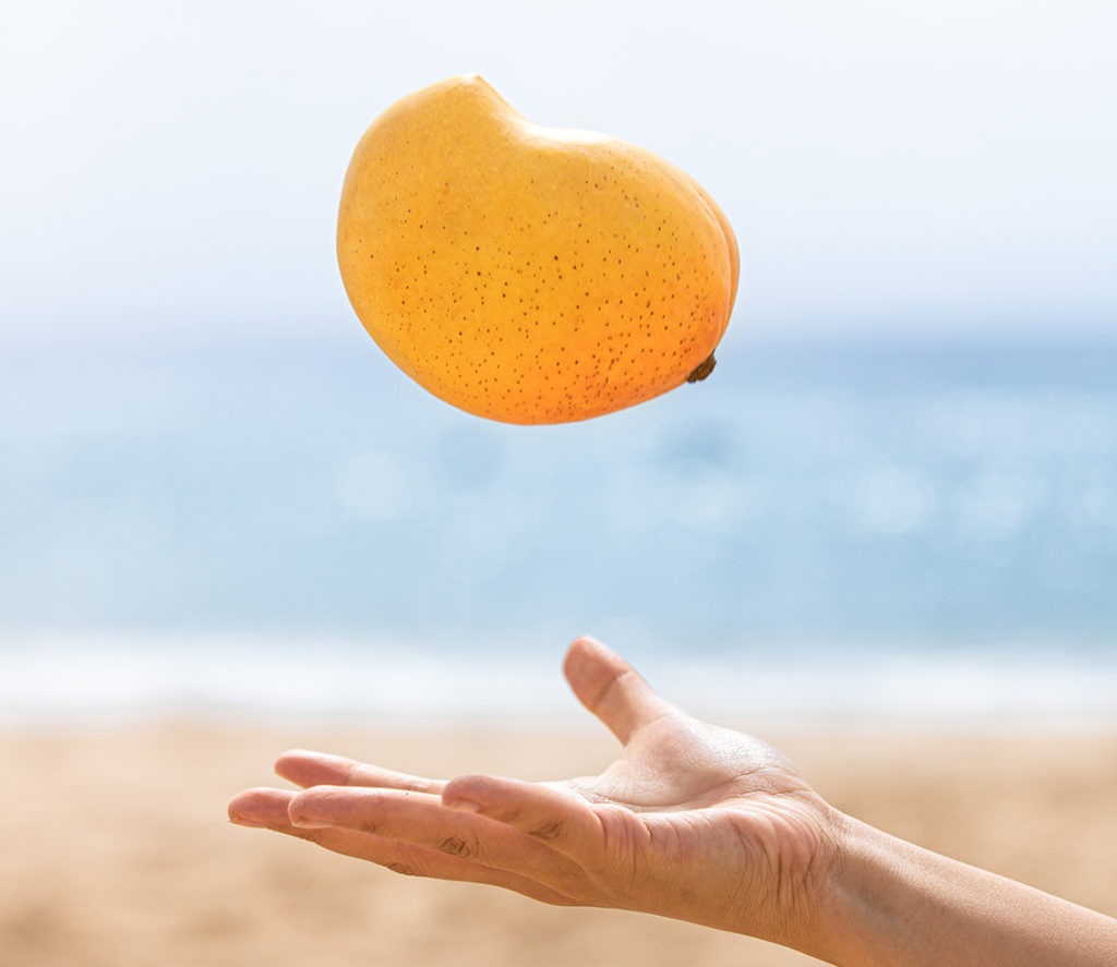 Stone fruit: mangoes