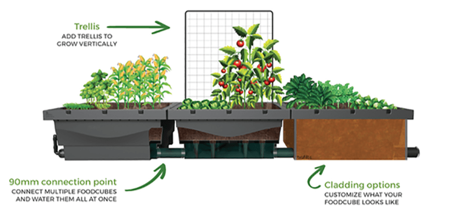 Urban farming: Foodcubes