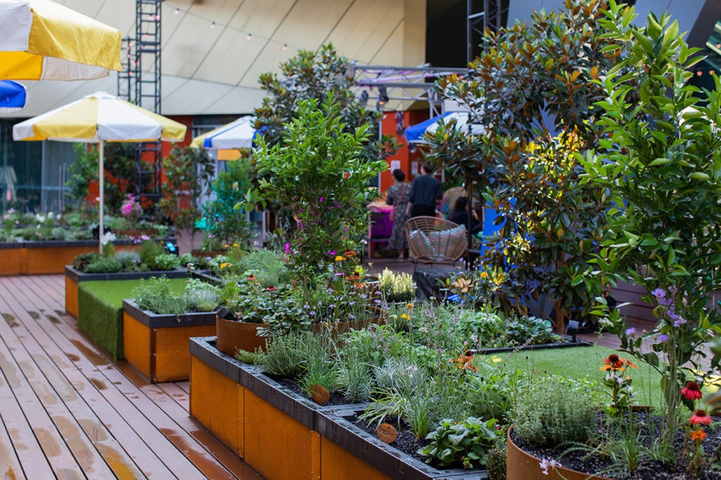 The Melbourne Convention Centre's edible garden.