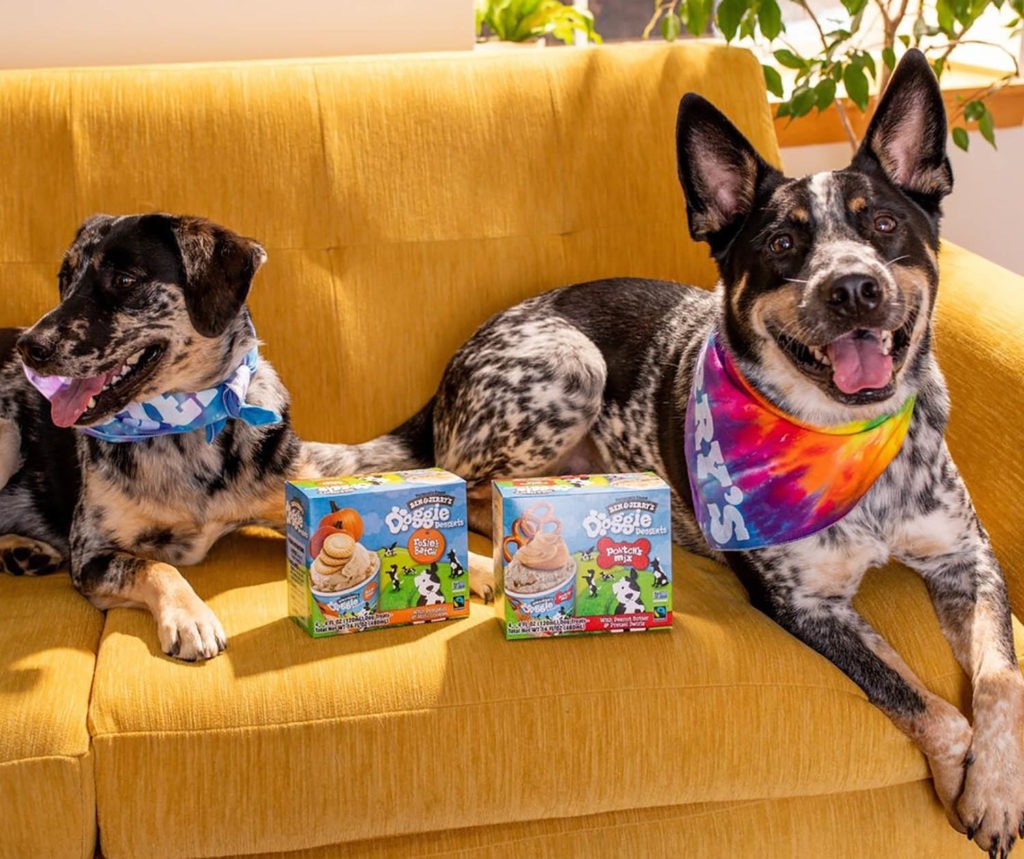 Food news: Ben & Jerry's launches dog ice cream