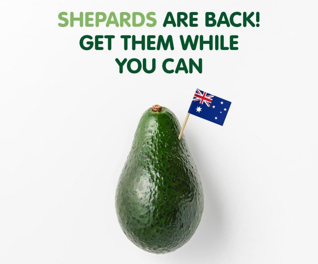 You can spot Shepard avocados by their long neck and glossy green skin