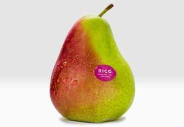 Love at first blush: new season Ricó pears
