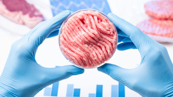 Lab-cultured meat a coming reality