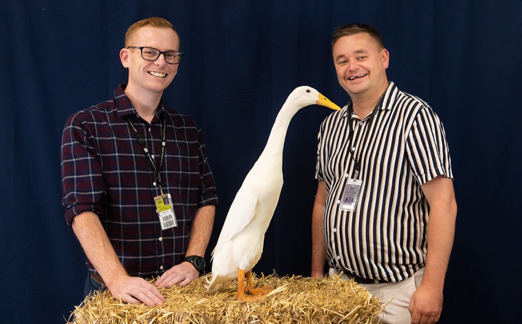 Ferdinand the Indian runner duck: the first duck in the Royal Easter Show's history to win Best Bird