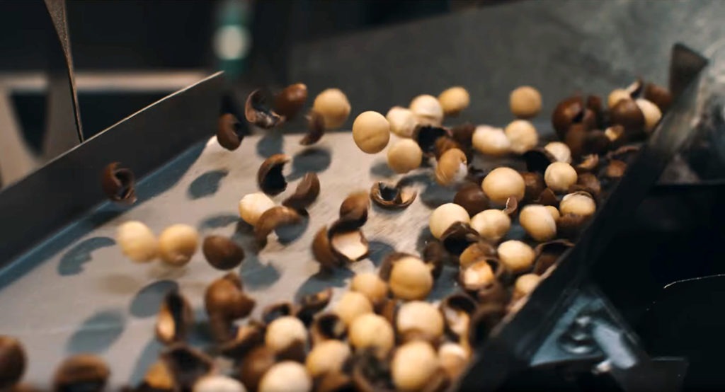 The shells of macadamias are no longer discarded, but are recycled for a variety of purposes