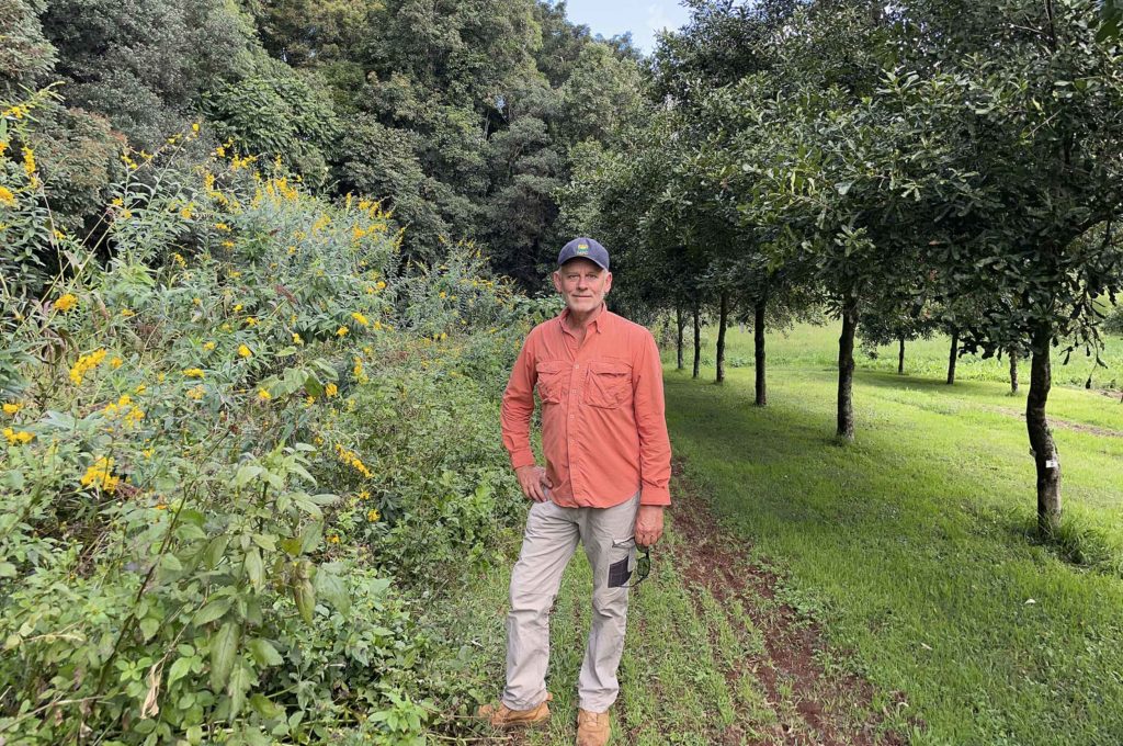 Macadamia farmer Ross Arnett