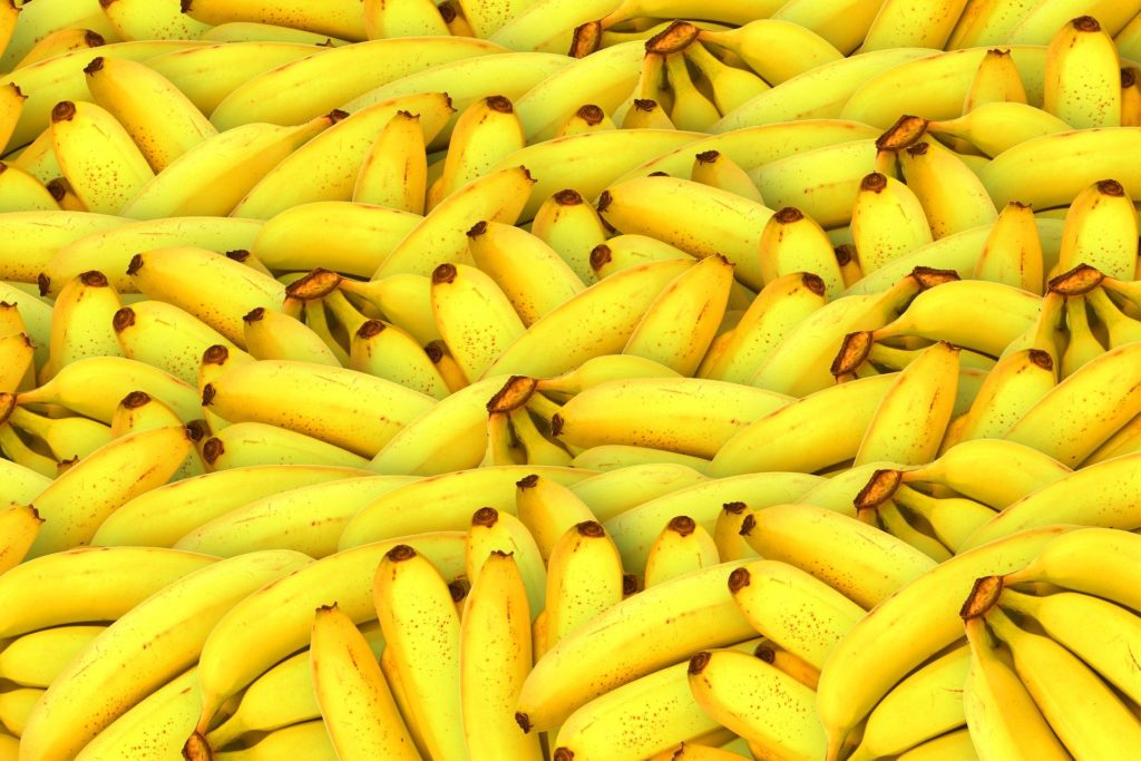Qld banana growers have already taken several blows. Subsidised quarantine could help them recover