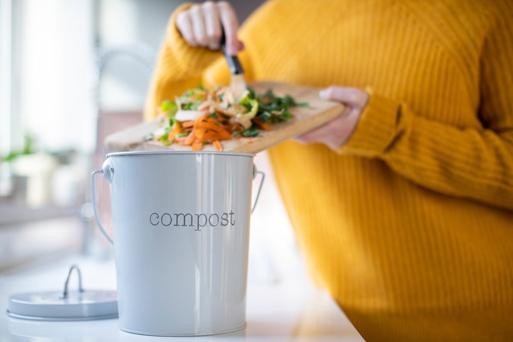 What can go in your compost bin?