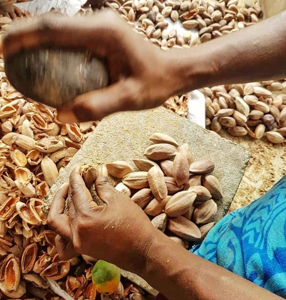 The growing galip nut industry offers employment and income opportunities for PNG women