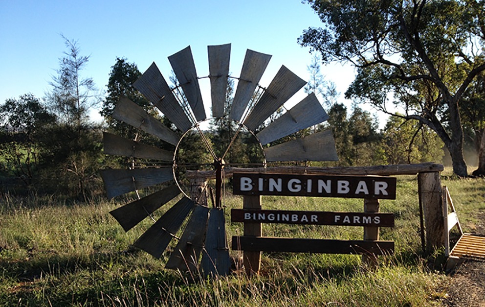 Binginbar farms