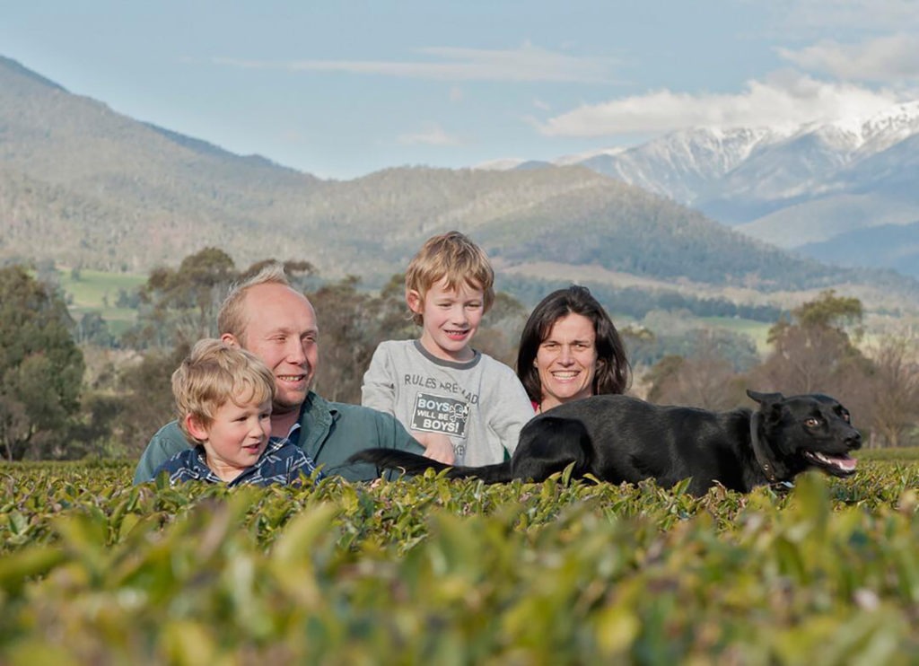 The Angelini family of Alpine Tea Co grow green tea in the alpine region of North East Victoria