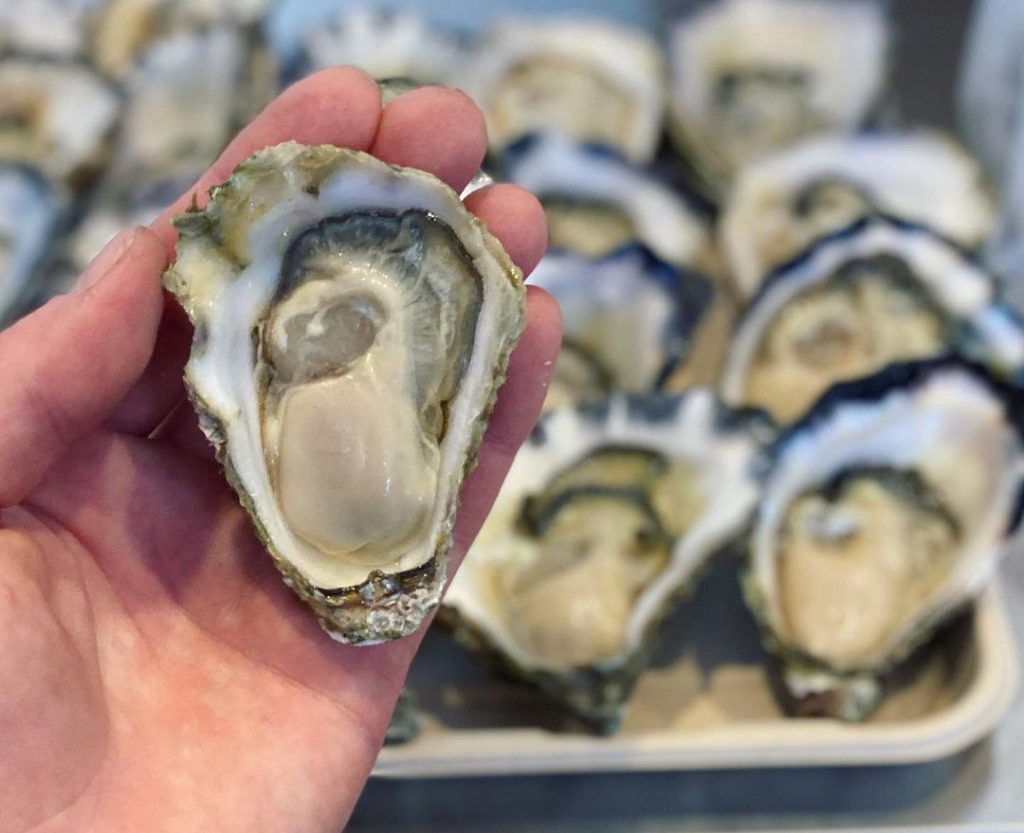 NSW seafood: rock oysters