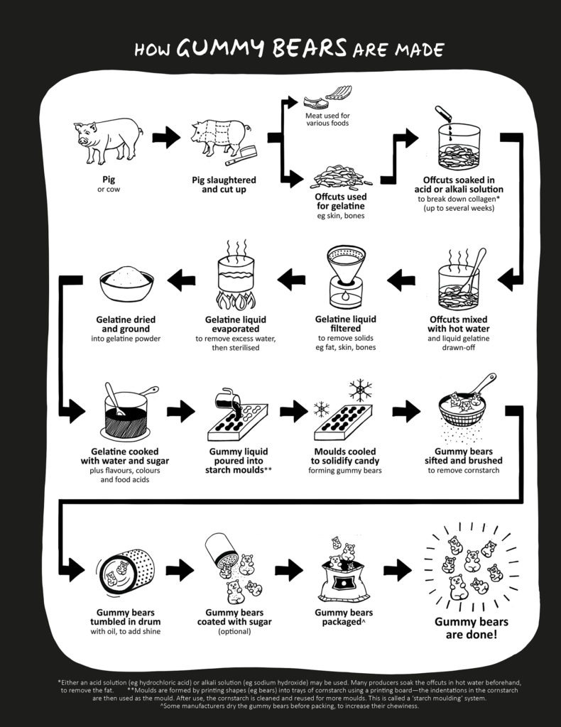 How Food is Made: gummy bears