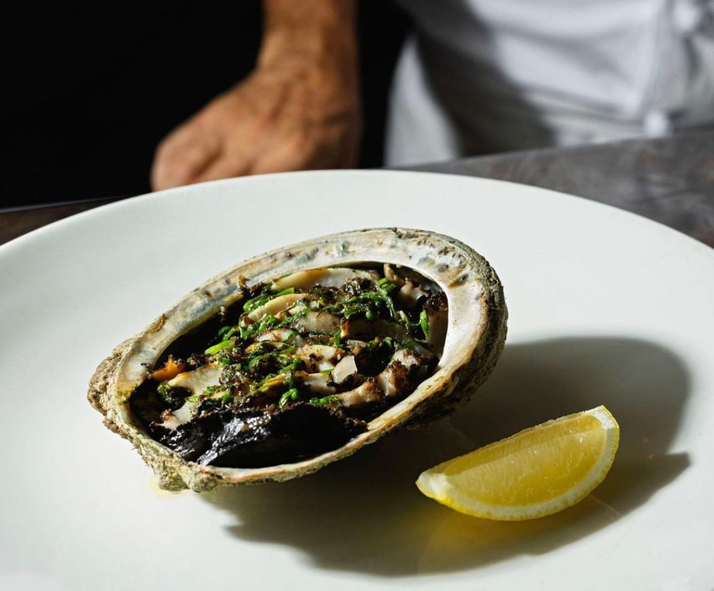 NSW seafood: black-lip abalone