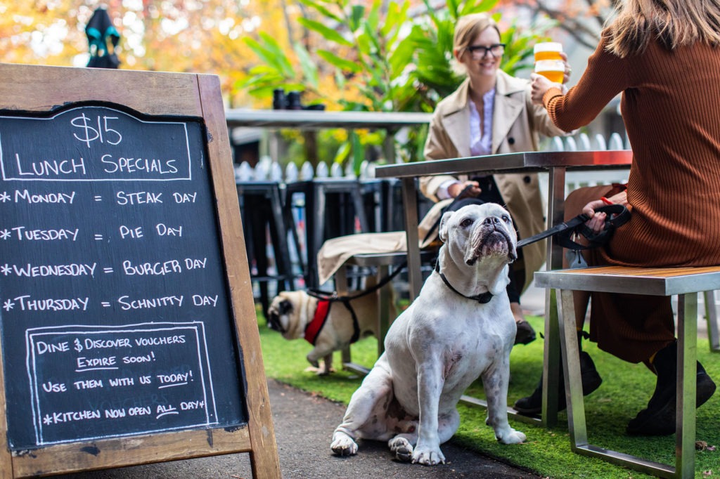 Sniff out some pet-friendly venues after a visit to the dog park. 
