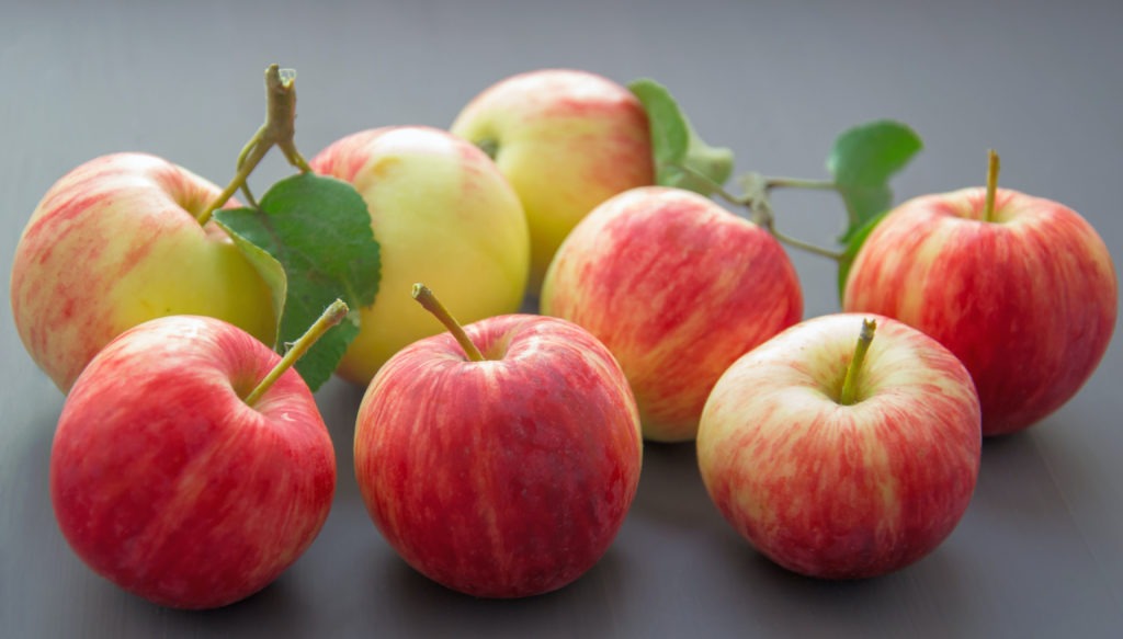 UK FTA: what it means for Aussie apples