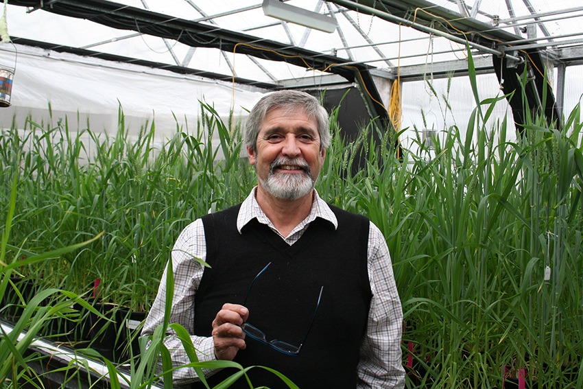 Professor Mike Jones is developing super crops that will enable the world to feed 10 billion people by 2050