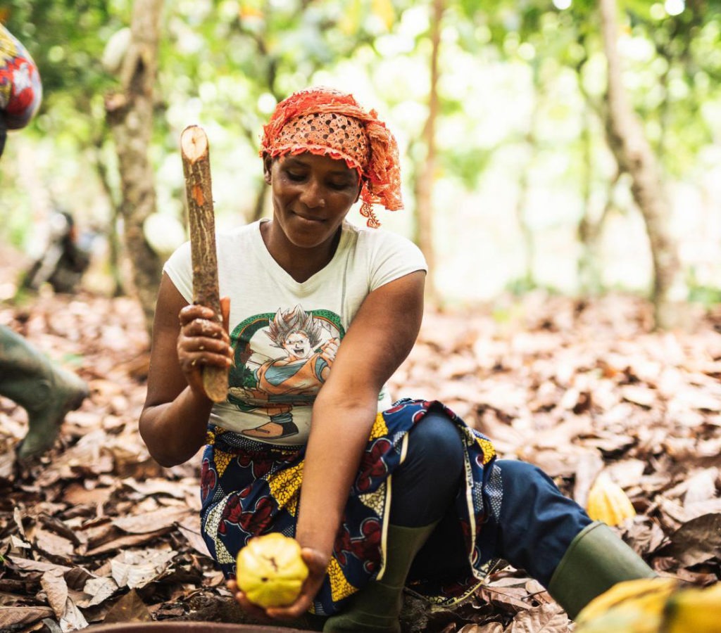 Fairtrade cocoa farmers receive higher incomes and enjoy a better quality of life