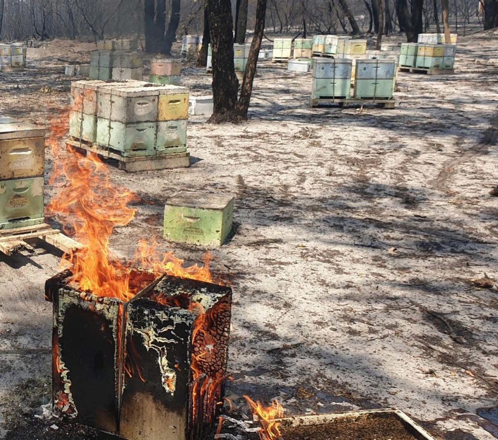 Many beekeepers were left devastated after the bushfires