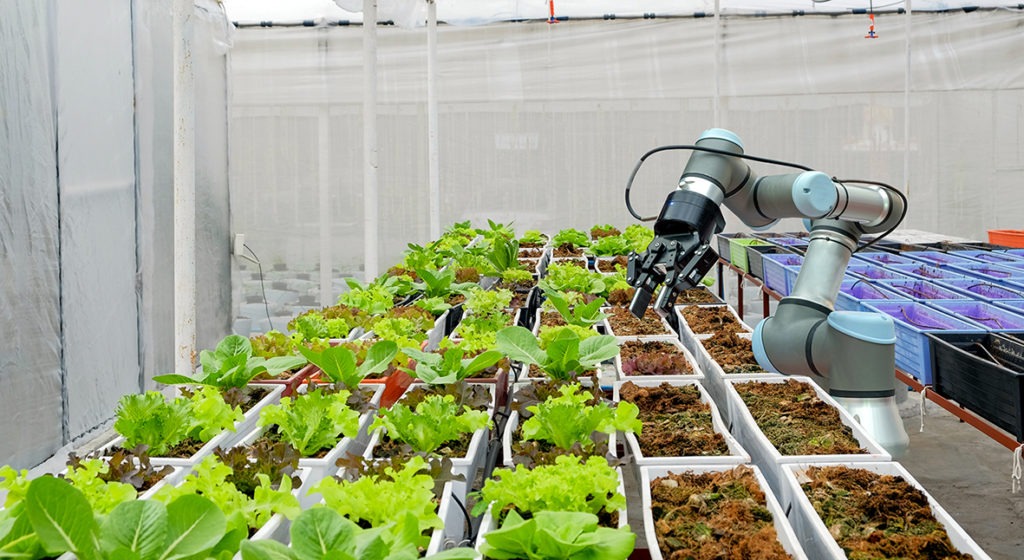 What will we be eating in 2050? Robot farmers