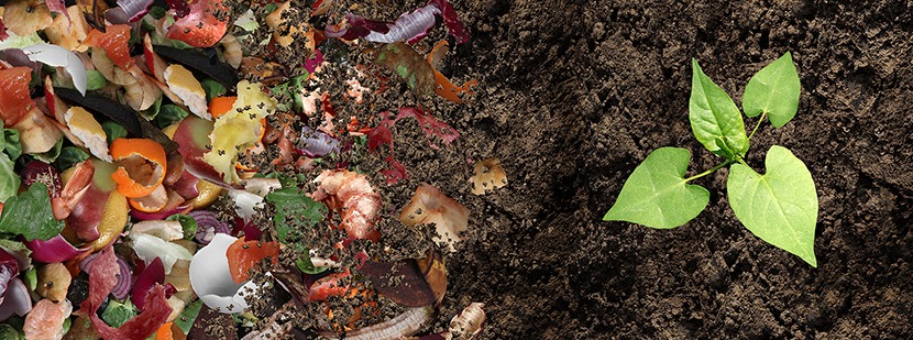Composting safely