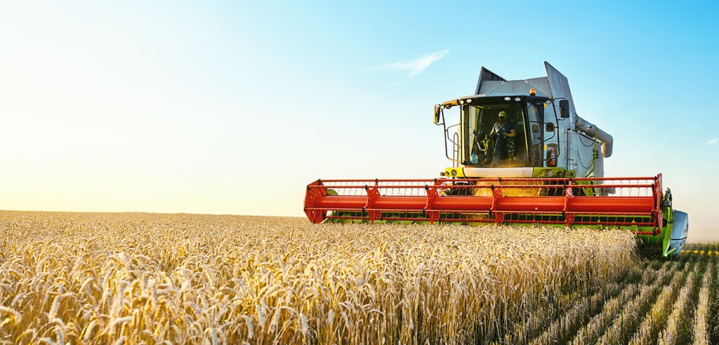 Aussie food news: public servants to help with harvest