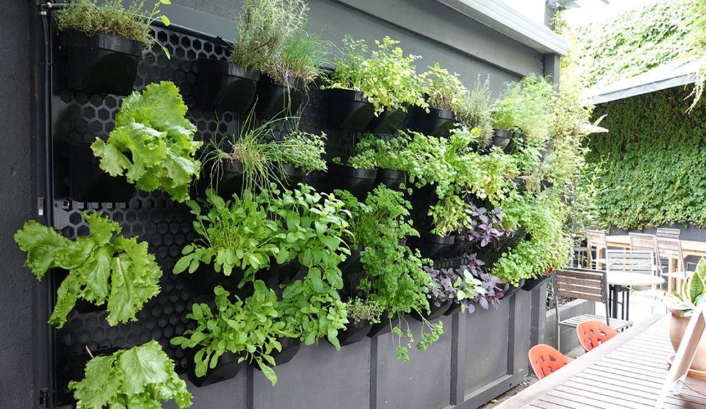 Vertical gardening: VIRID Food Wall
