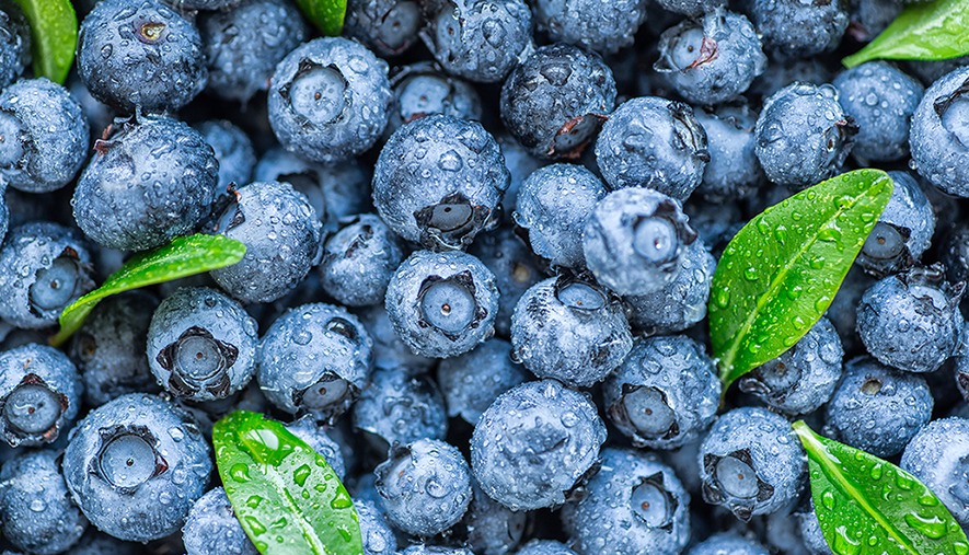 Australian blueberries are in peak season