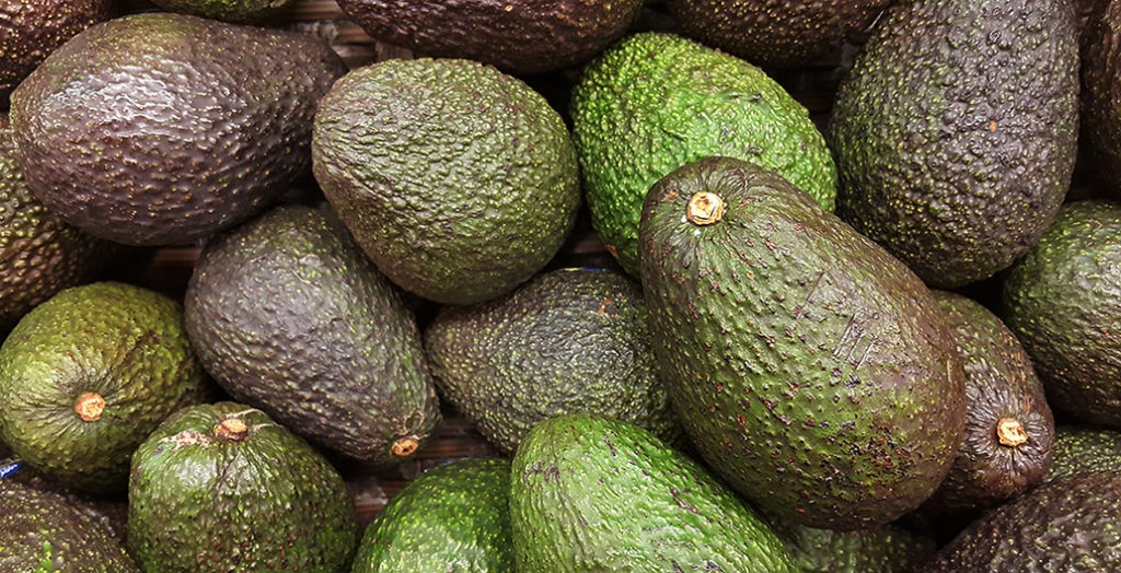 The latest in Australian food news: avocado glut smashes growers