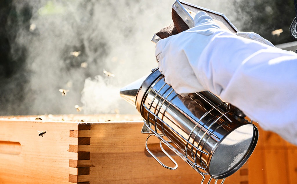 Invest in a good smoker for your hives.