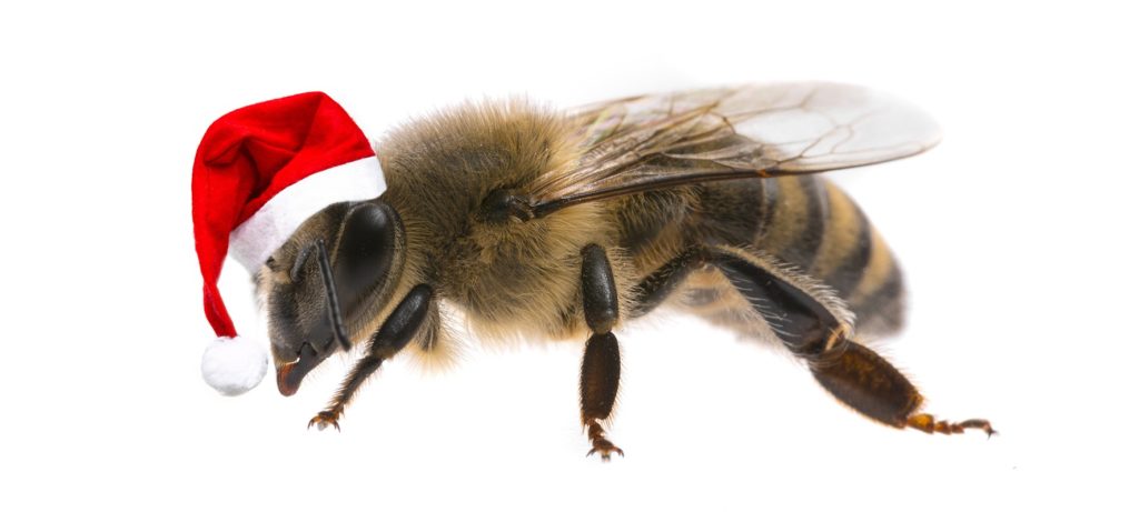 Christmas bee