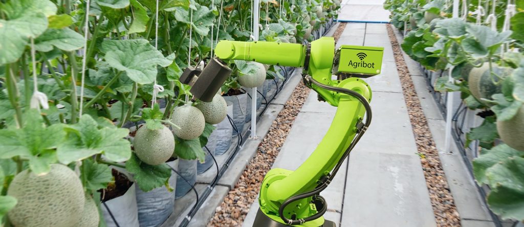 Latest food news: Gatton Smart Farm to bring new ag tech to farmers