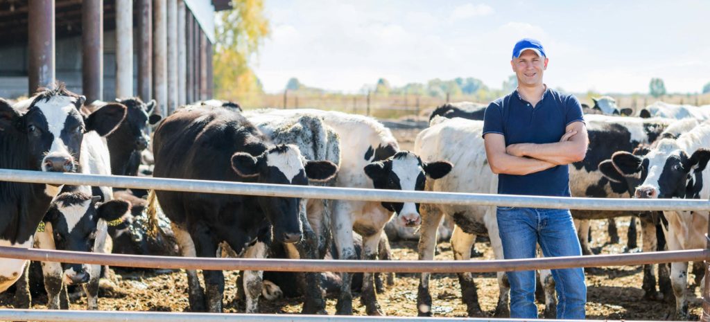 Traceability from paddock to plate