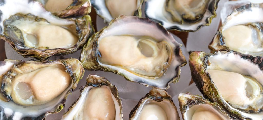 Choose Aussie oysters this Christmas