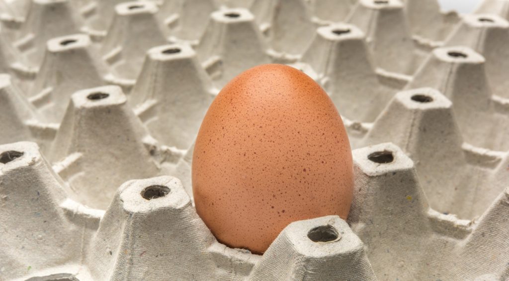 Australian food news: egg shortage in Western Australia