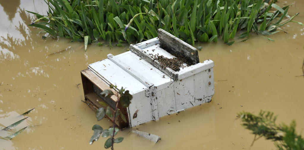 Floods destroy beehives