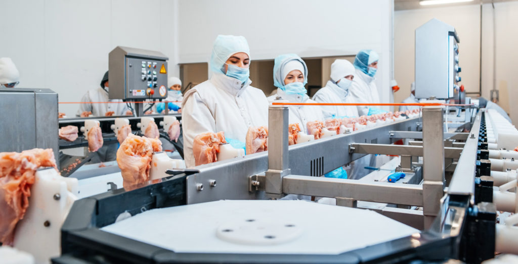 Large chicken meat processors are being crippled by workforce shortages